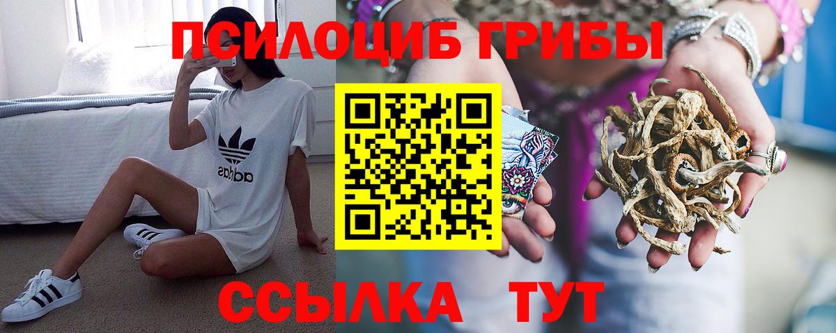 Псилоцибиновые грибы Psilocybe  Галлюциногенные грибы MAGIC MUSHROOMS  Вход с VPN  Михайловка 