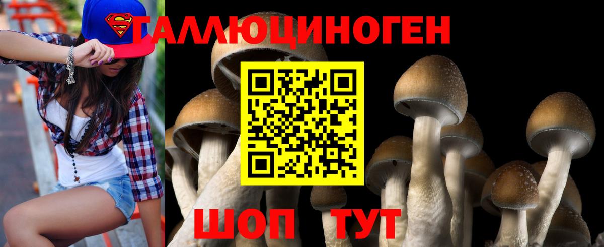Галлюциногенные грибы ЛСД Михайловка